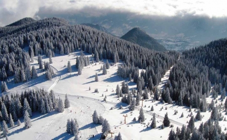 ХОТЕЛИ ВО ПАМПОРОВО