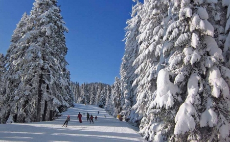 ХОТЕЛИ ВО БОРОВЕЦ